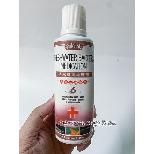 CÁC VẤN ĐỀ VỀ CÁ FRESHWATER BACTERIA MEDICATION ISTA SỐ 6 ĐÀI LOAN 250ML