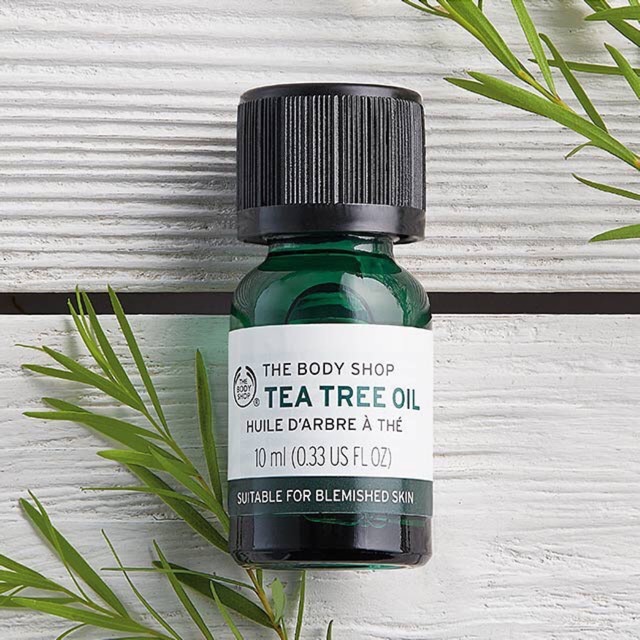 Tinh dầu Tea tree oil tbs