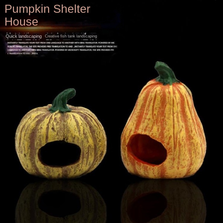 1 Ngôi Nhà Quả Dứa Trang Trí Bể Cá