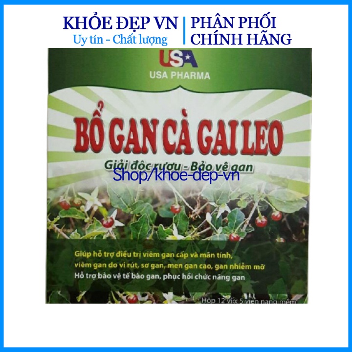 Chuẩn BYT - BỔ GAN CÀ GAI LEO,GIÚP MÁT GAN,LỢI MẬT (60 viên)