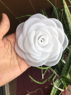 Cài áo hoa hồng trắng