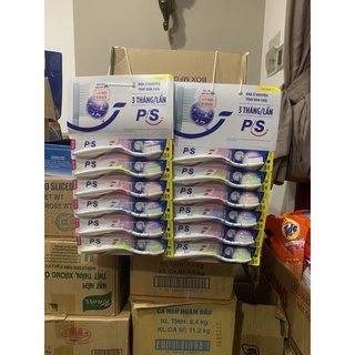 Bàn chải lông tơ siêu mềm mịn cao cấp P/S 1 vĩ 6 cây