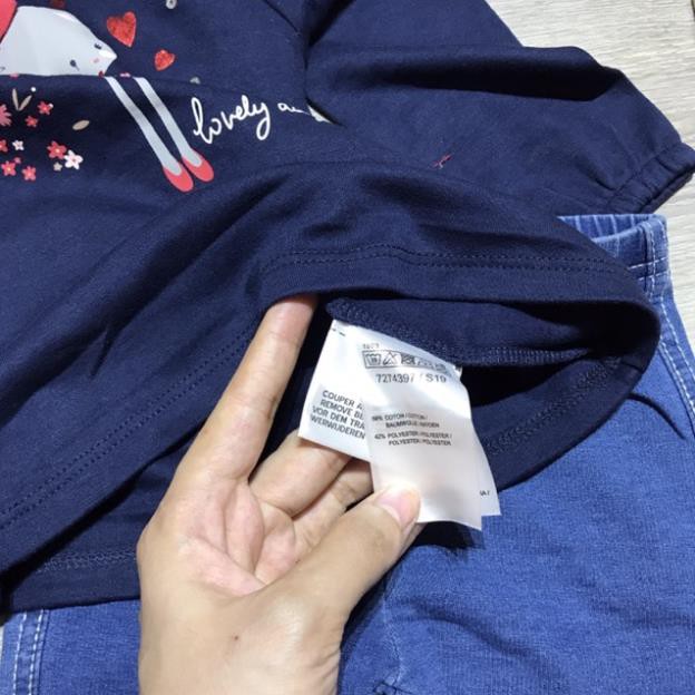 Bộ Plus nhiều màu xuất dư xịn cho bé gái