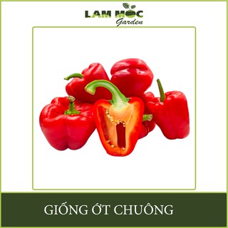 Hạt Giống Ớt Chuông Đỏ Ngọt Gói 0,1g