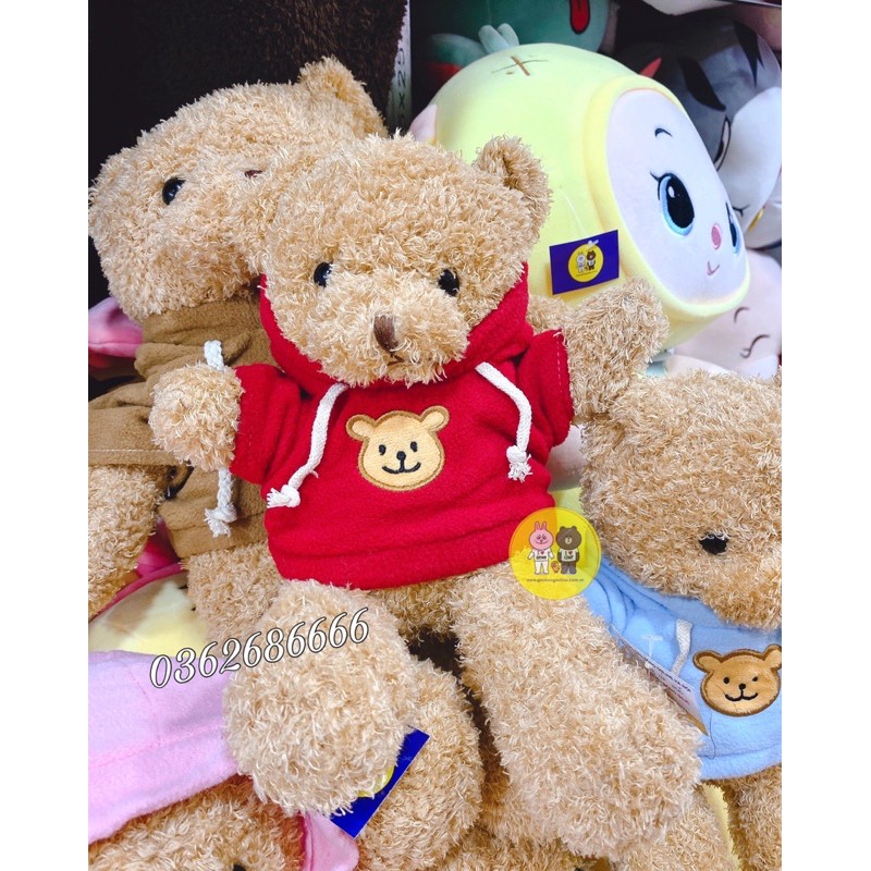 Gấu Teddy - Teddy áo hoodie đội mũ cao cấp - Xưởng Gấu Bông Việt Nam