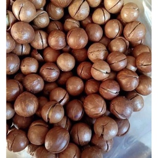 Hạt Mắc Ca hạt dinh dưỡng 500gr - 1kg