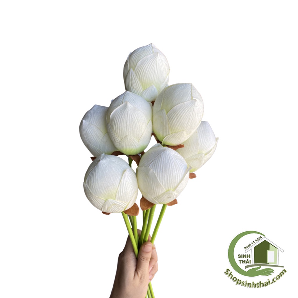 Cành nụ hoa sen giả màu trắng - cành sen vải lụa cao cấp