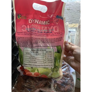 Phân Dynamic mẫu mới