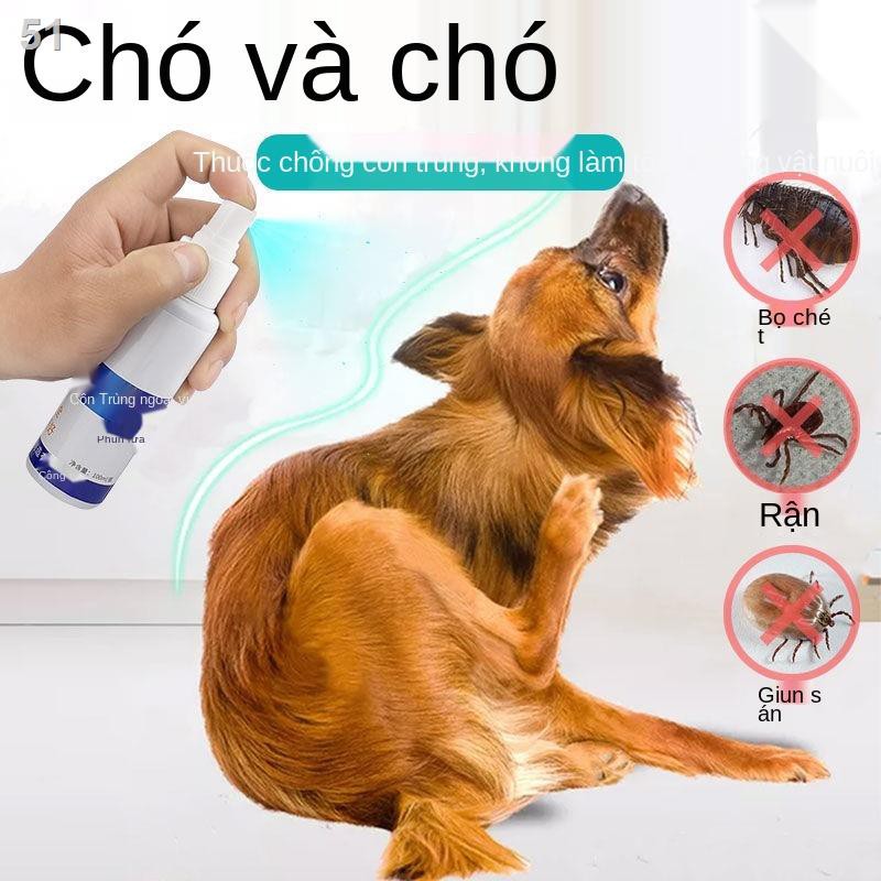 thuốc bọ chét bên ngoài the dog tẩy giun cho mèo veA