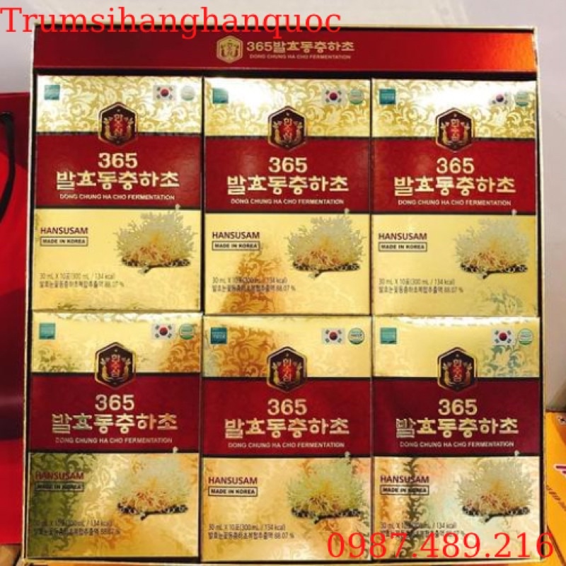 TINH CHẤT ĐÔNG TRÙNG HẠ THẢO LÊN MEN 365 - HANSUSAM 30ml x 60 GÓI