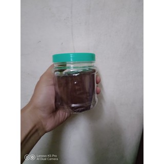 Trứng Artemia 425g (AA)