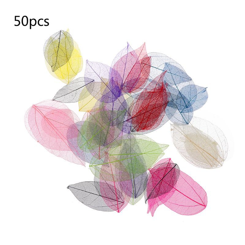 Set 50 lá cây vân mỏng tự nhiên làm trang sức