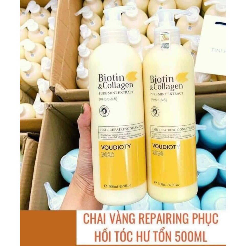 Cặp gội xả BIOTIN Vàng