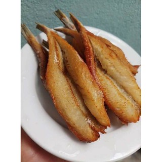 CÁ MỐI RÚT XƯƠNG 1 NẮNG
