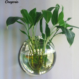 Chậu Cây Cảnh Treo Tường
