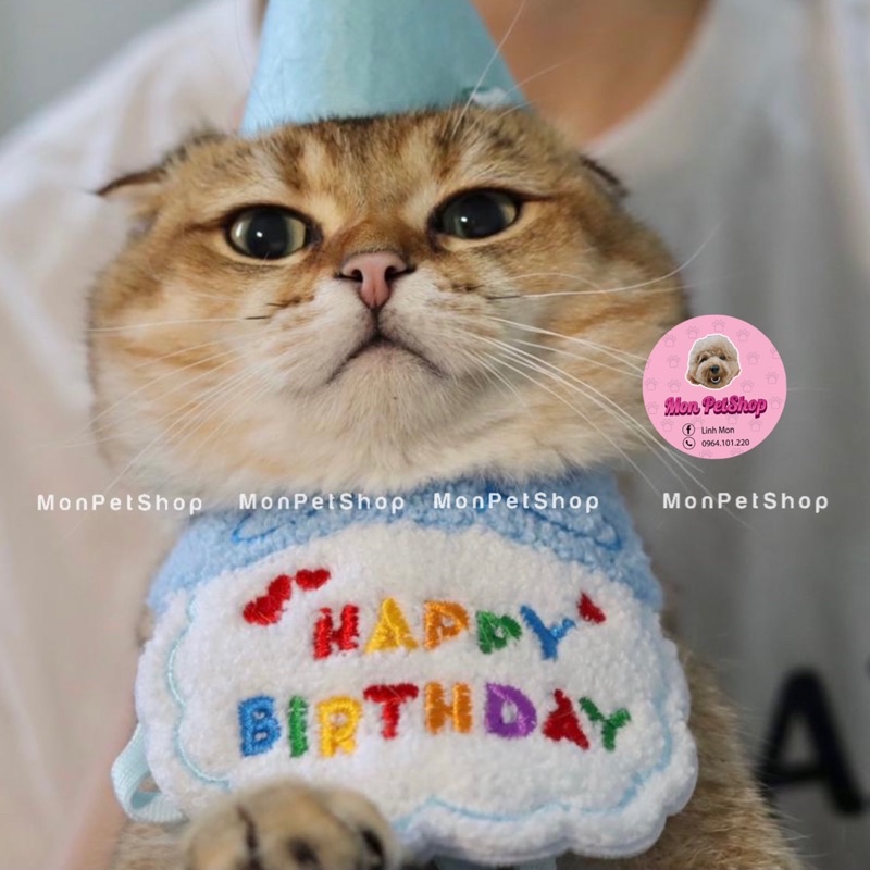 Set mũ + yếm cổ sinh nhật cho chó mèo