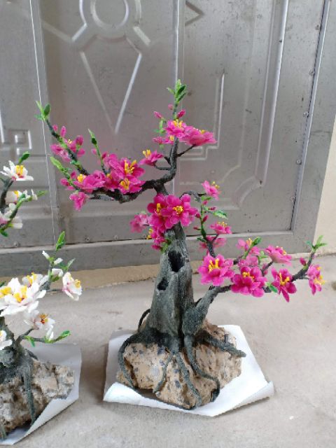 BONSAI - đá quý lục yên