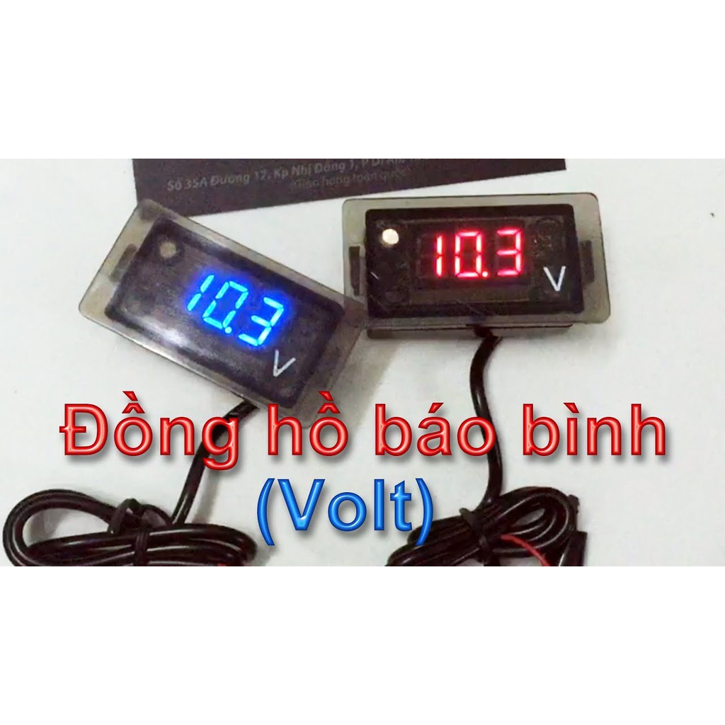 Đông hồ báo vôn rizoma