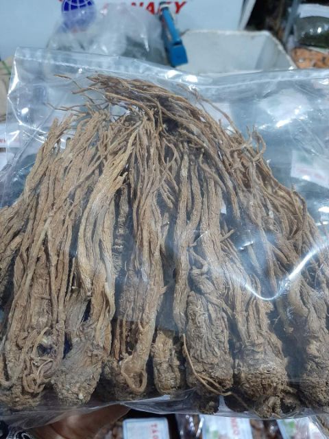 Sâm Đương Quy Tươi 1Kg