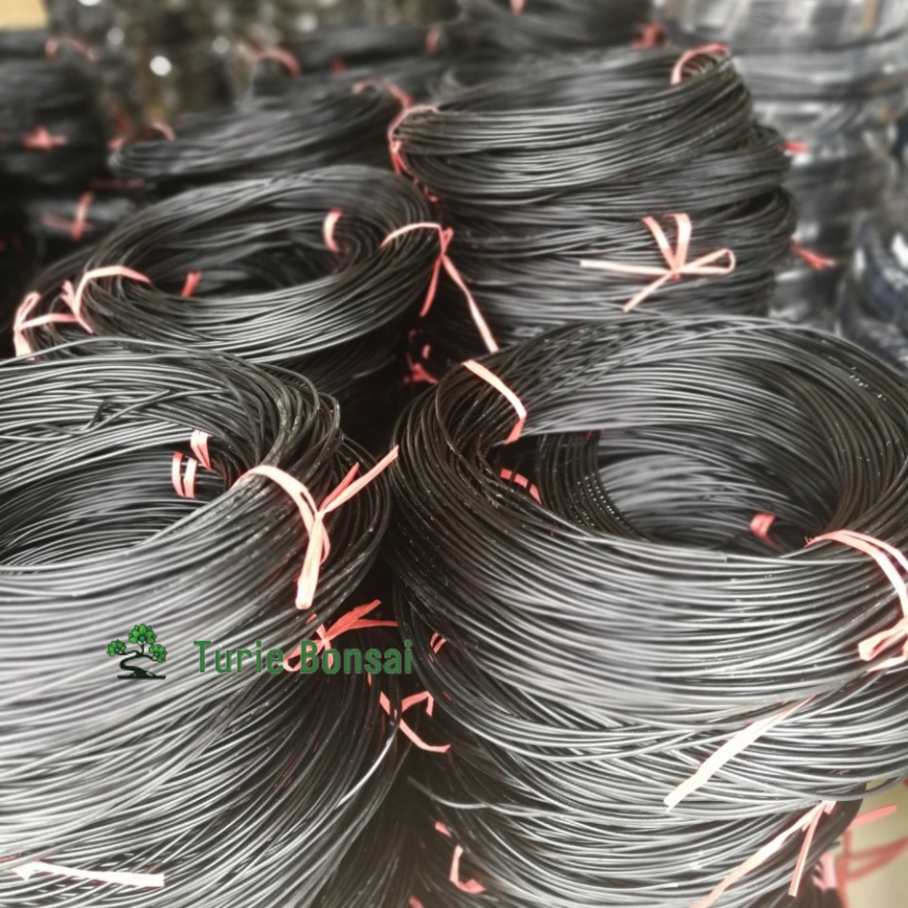 Dây Nhôm Uốn Cây Cảnh Bonsai 100gr Đủ Mọi Kích Cỡ Duy Nhất Trên Shopee