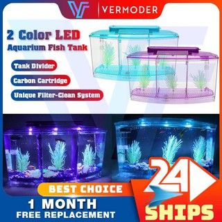 Bể nuôi cá betta mini 2/3 ngăn có thể tháo lắp