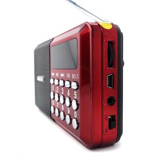 Loa Thẻ Nhớ, Usb Craven CR-26