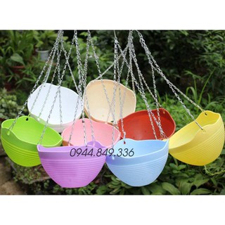 COMBO 10 CHẬU SIÊU RẺ