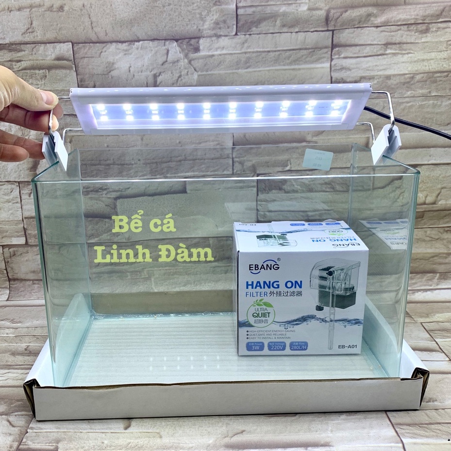 Bể Cá Chữ Nhật 30cm Kính Đúc Bo Góc Đẹp - Bể Cá Mini Dài 30cm