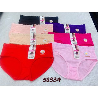 10 Quần Lót Nữ Cotton Hoa Cúc Thông Hơi