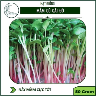 Hạt Giống Rau Mầm Củ cải Đỏ 50gr
