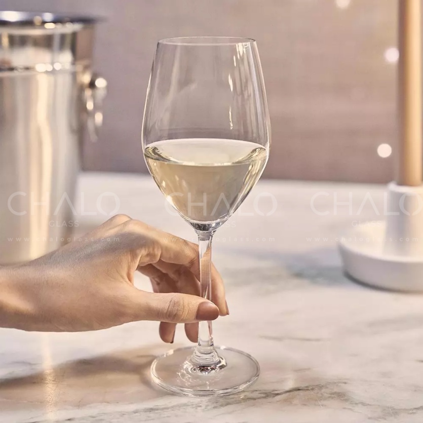 Ly rượu vang trắng thủy tinh Ocean Sante Wine 340ml - 26W12