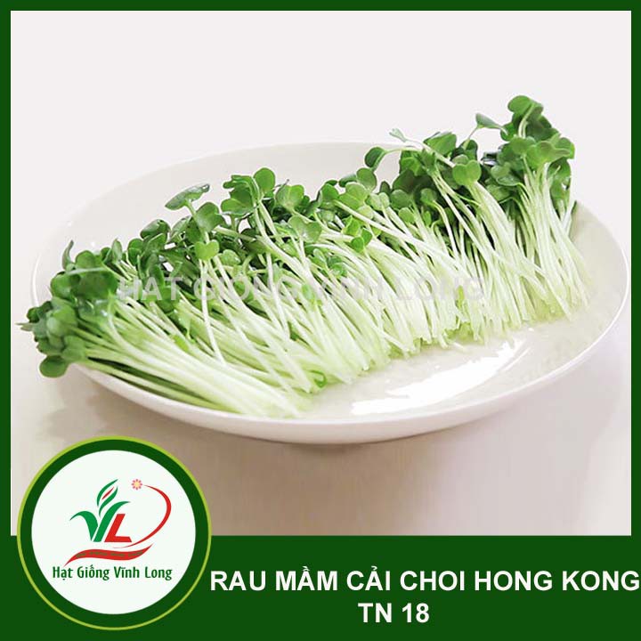 Hạt giống rau Mầm cải choi Hong Kong TN 18 - 20g