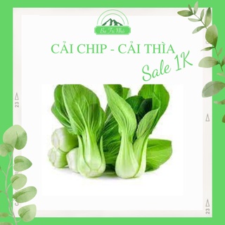 Hạt giống rau cải chíp rado 77 i ba tri nhỏ