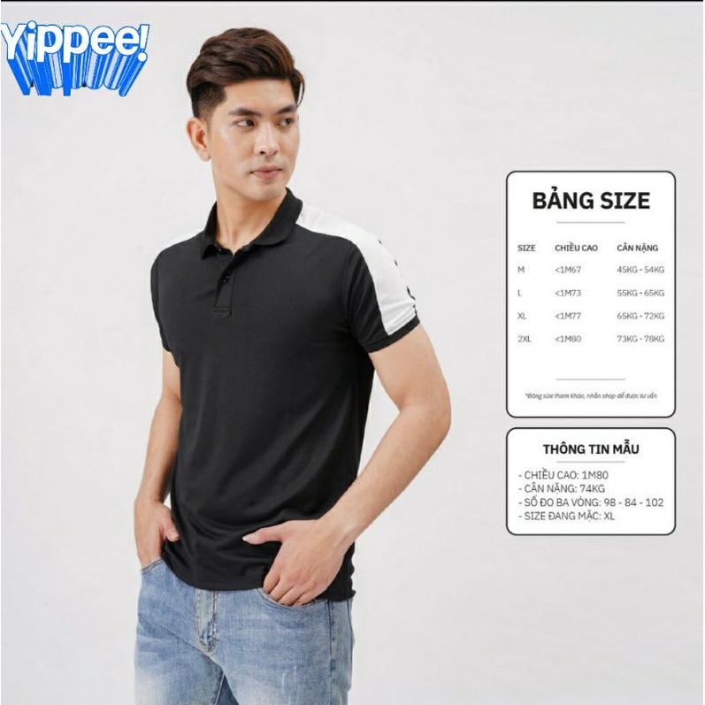 Áo Thun Nam Polo có cổ bẻ đẹp tay ngắn cao cấp giá rẻ Hana AT131 | BigBuy360 - bigbuy360.vn