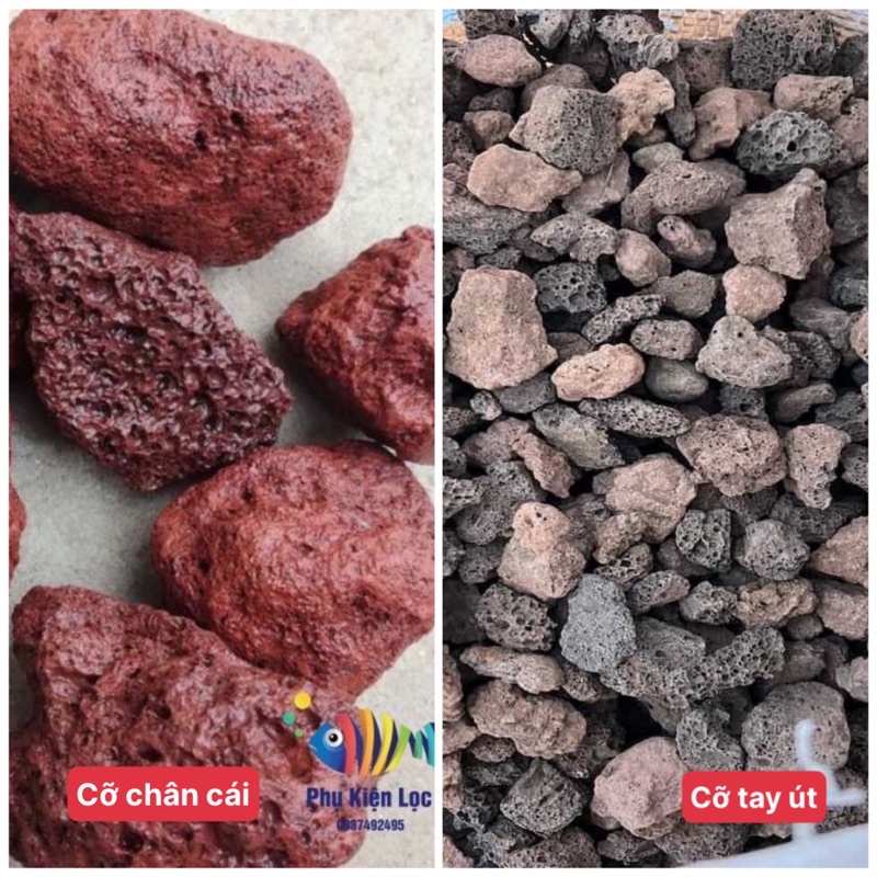 Đá Nham Thạch Lọc Nước (Cỡ Chân Cái) 1Kg