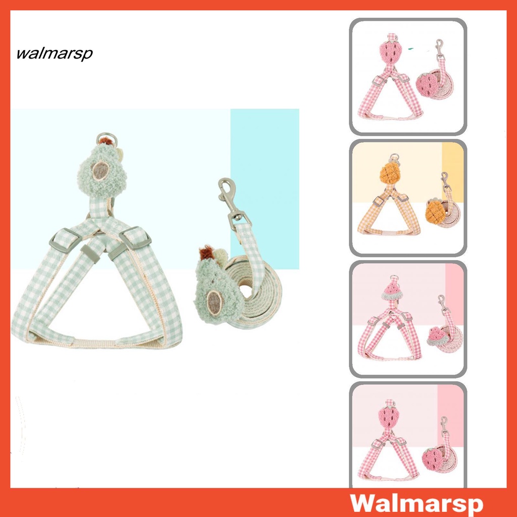 Set dây đeo ngực dắt thú cưng đi dạo tiện dụng