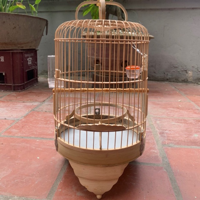 Lồng khuyên trơn loại trắng hàng mau
