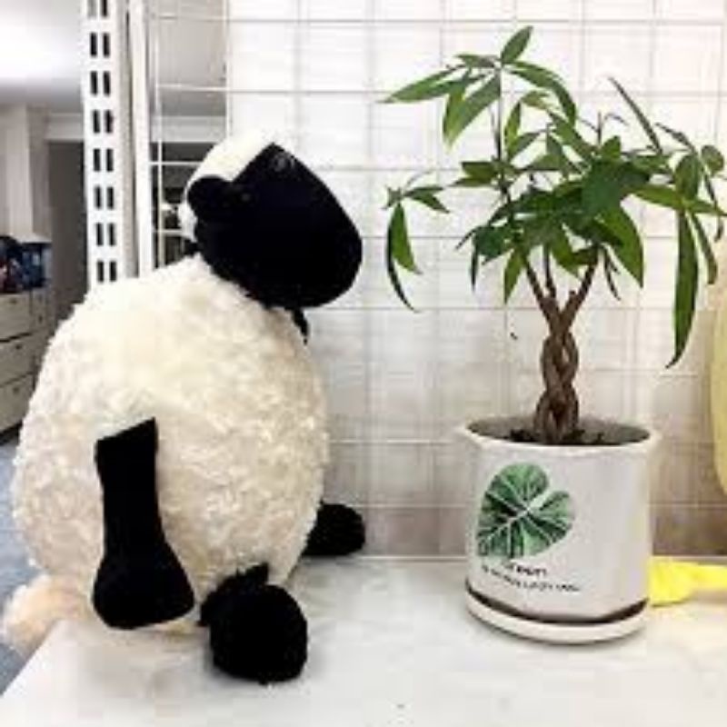 Gấu bông Cừu con dễ thương cho bé