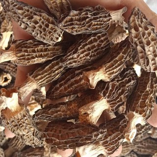 Nấm Bụng Dê 100g