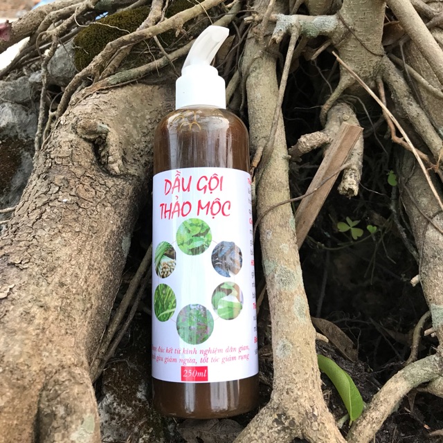 DẦU GỘI THẢO MỘC