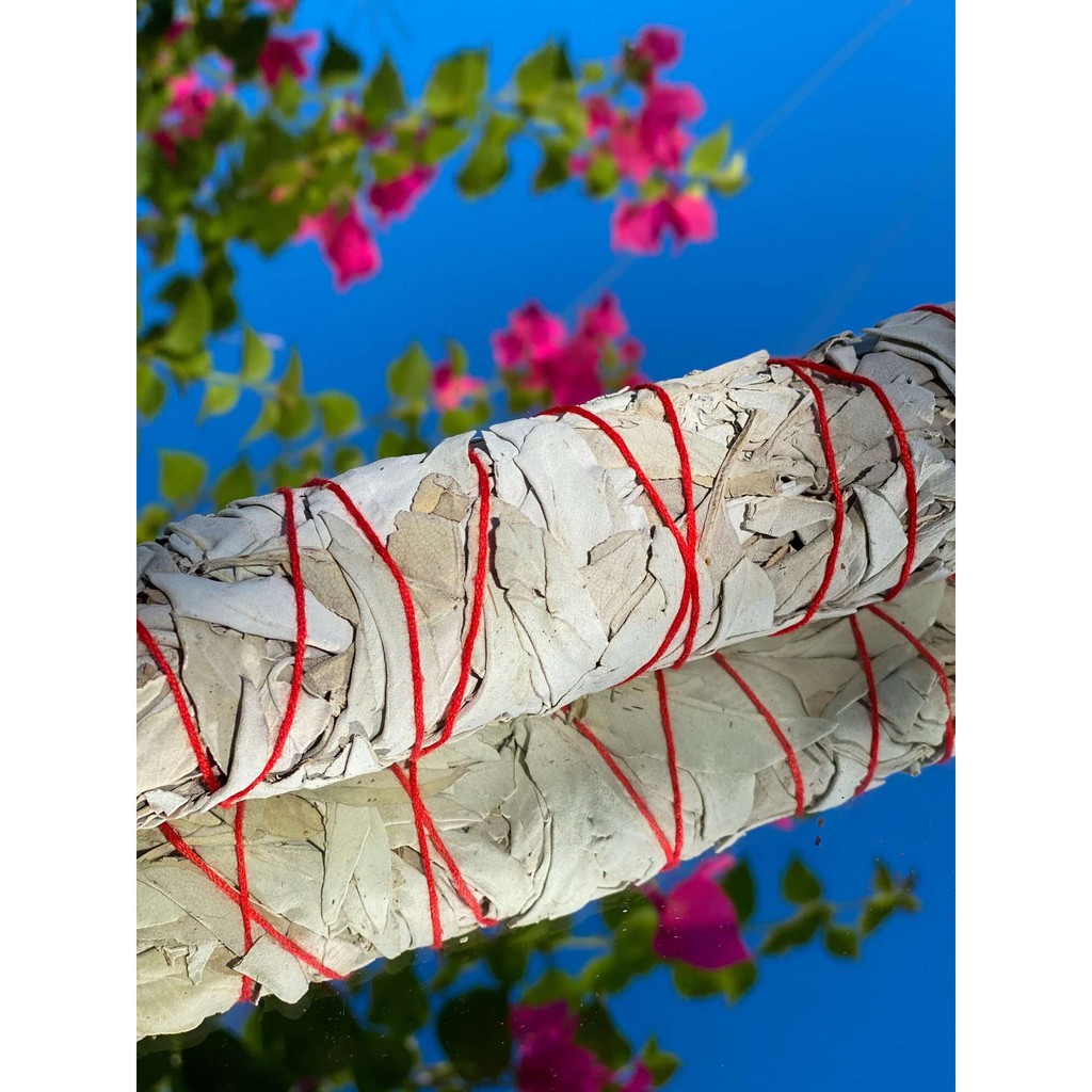 White Sage_Thanh Tẩy Năng Lương Tiệu Cực - THẢO MỘC XÔNG NHÀ