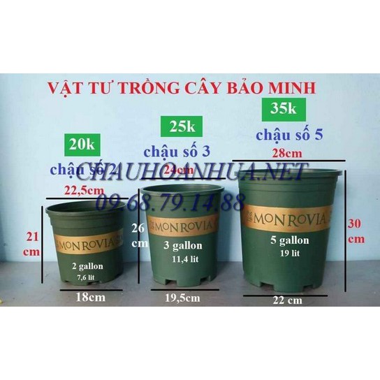 Chậu Monrovia, chậu hoa hồng 1 Gallon và 1,5 Gallon size nhỏ siêu đẹp