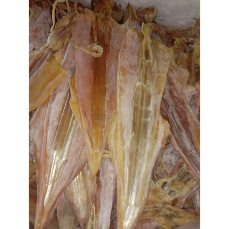 1 Con Khô mực câu loại Thượng Hạng  chuẩn mực câu Nghệ An 100%  - Mực xịn sò chuẩn Ngon nhất