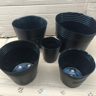Combo 10 chậu trồng hoa, cây cảnh C7 (17x15cm)