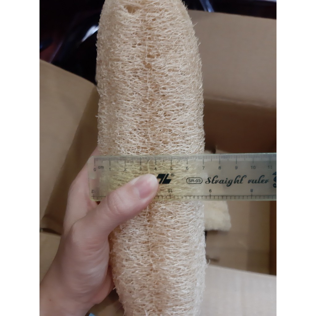 Xo muop / Xơ mướp khô