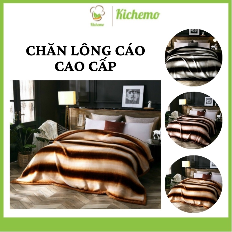 CHĂN LÔNG CÁO CAO CẤP