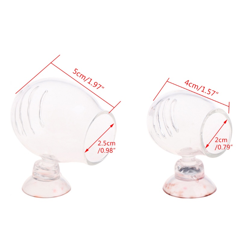Lồng Nuôi Cá Bằng Thủy Tinh Trong Suốt Kèm Cốc Hút Tiện Dụng