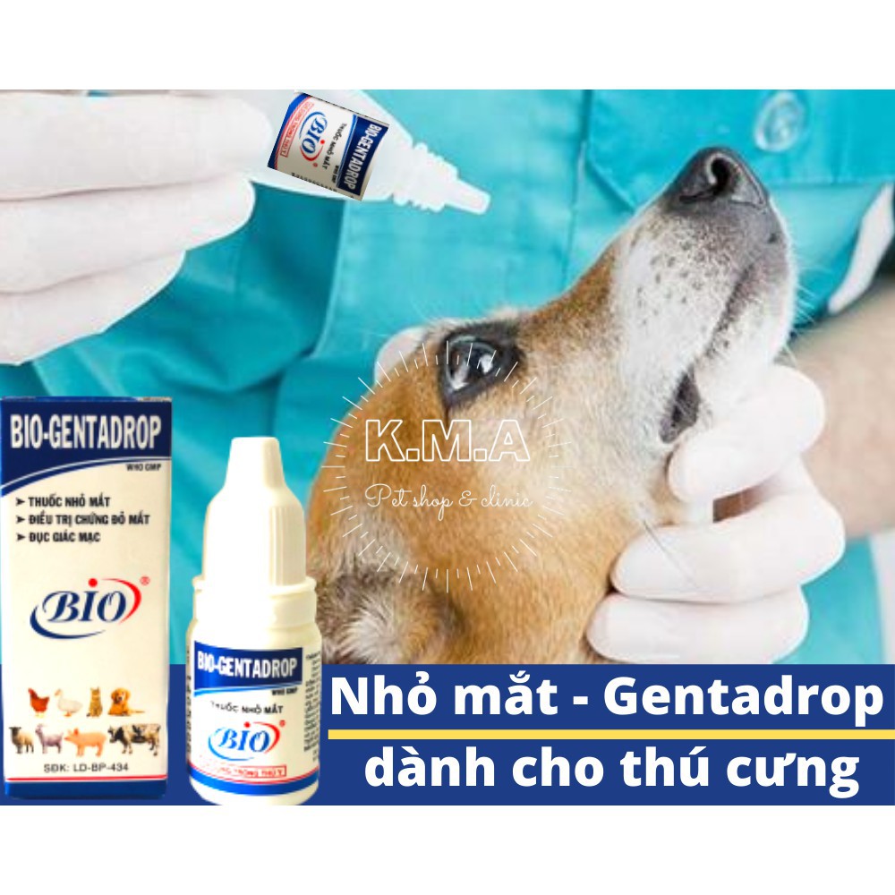 Nhỏ mắt cho chó mèo Bio Gentadrop 10ml