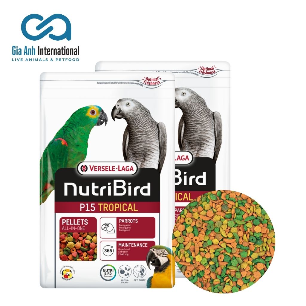 Hỗn Hợp Trái Cây Dinh Dưỡng Cho Vẹt Châu Phi - Versele-laga Nutri Bird P15 Tropical Làm Lông Đẹp Chim Khoẻ Mạnh Bao 10kg