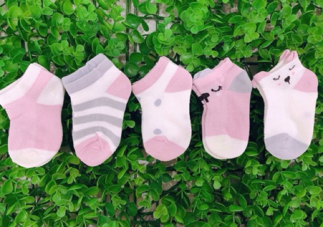 Set 5 Đôi Tất Hình thú Cổ  thấp Cho Bé hãng kidsock [ Cam Kết Đẹp Y Hình]